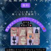 ヒメ日記 2025/11/14 02:01 投稿 ナナコ どきどきヘルス探検隊