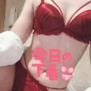 ヒメ日記 2025/11/14 17:36 投稿 ナナコ どきどきヘルス探検隊