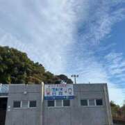 ヒメ日記 2025/11/19 00:08 投稿 ナナコ どきどきヘルス探検隊