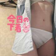 ヒメ日記 2025/11/19 17:50 投稿 ナナコ どきどきヘルス探検隊