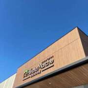 ヒメ日記 2025/11/22 16:57 投稿 ナナコ どきどきヘルス探検隊