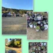 ヒメ日記 2025/11/29 19:39 投稿 ナナコ どきどきヘルス探検隊