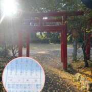 ヒメ日記 2025/12/01 09:46 投稿 ナナコ どきどきヘルス探検隊