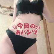 ヒメ日記 2025/12/01 21:15 投稿 ナナコ どきどきヘルス探検隊