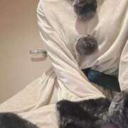 ヒメ日記 2025/12/14 19:52 投稿 ナナコ どきどきヘルス探検隊