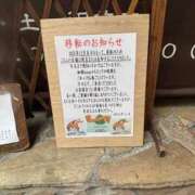 ヒメ日記 2025/12/17 10:01 投稿 ナナコ どきどきヘルス探検隊