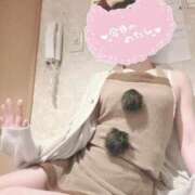 ヒメ日記 2025/12/18 09:55 投稿 ナナコ どきどきヘルス探検隊