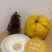 ヒメ日記 2025/12/23 20:56 投稿 ナナコ どきどきヘルス探検隊