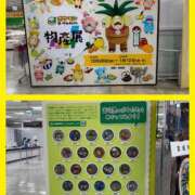 ヒメ日記 2025/12/28 12:44 投稿 ナナコ どきどきヘルス探検隊