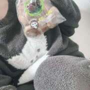 ヒメ日記 2026/01/21 07:09 投稿 ナナコ どきどきヘルス探検隊