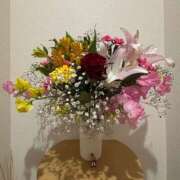 ヒメ日記 2026/02/20 18:44 投稿 ナナコ どきどきヘルス探検隊