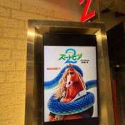 ヒメ日記 2026/02/26 15:02 投稿 ナナコ どきどきヘルス探検隊