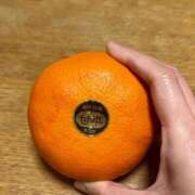 ヒメ日記 2026/03/02 14:59 投稿 ナナコ どきどきヘルス探検隊