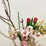 ヒメ日記 2026/03/03 09:30 投稿 ナナコ どきどきヘルス探検隊