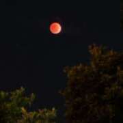 ヒメ日記 2026/03/03 21:15 投稿 ナナコ どきどきヘルス探検隊