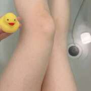 ヒメ日記 2026/03/11 19:38 投稿 ナナコ どきどきヘルス探検隊