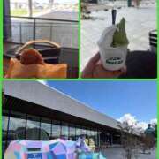 ヒメ日記 2026/03/23 17:50 投稿 ナナコ どきどきヘルス探検隊