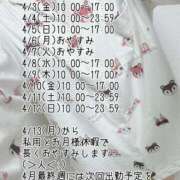 ヒメ日記 2026/03/28 14:46 投稿 ナナコ どきどきヘルス探検隊