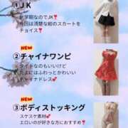 ヒメ日記 2026/03/31 21:02 投稿 ナナコ どきどきヘルス探検隊