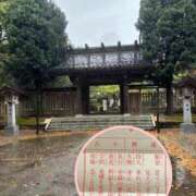 ヒメ日記 2026/04/01 09:21 投稿 ナナコ どきどきヘルス探検隊