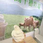 ヒメ日記 2026/04/02 18:26 投稿 ナナコ どきどきヘルス探検隊