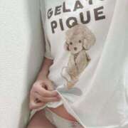 ヒメ日記 2026/04/03 08:10 投稿 ナナコ どきどきヘルス探検隊