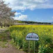 ヒメ日記 2026/04/07 18:31 投稿 ナナコ どきどきヘルス探検隊