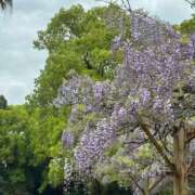 ヒメ日記 2026/04/09 09:30 投稿 ナナコ どきどきヘルス探検隊