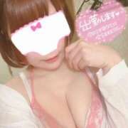 ヒメ日記 2025/03/26 09:49 投稿 マロン どきどきヘルス探検隊