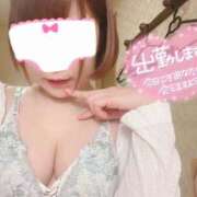 ヒメ日記 2025/05/13 09:50 投稿 マロン どきどきヘルス探検隊