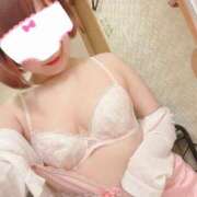 ヒメ日記 2025/05/15 17:09 投稿 マロン どきどきヘルス探検隊