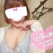 ヒメ日記 2025/05/29 09:51 投稿 マロン どきどきヘルス探検隊