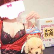 ヒメ日記 2025/08/08 23:56 投稿 マロン どきどきヘルス探検隊