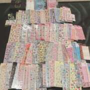 ヒメ日記 2026/03/13 17:09 投稿 マロン どきどきヘルス探検隊