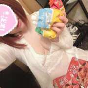 ヒメ日記 2026/04/17 19:58 投稿 マロン どきどきヘルス探検隊