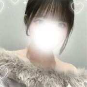 えな えな（スピード日本橋店） スピード日本橋店