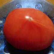 ヒメ日記 2025/03/03 23:06 投稿 ももか 熟女デリヘル倶楽部