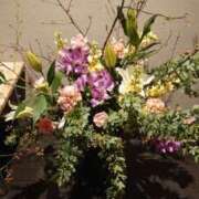 ヒメ日記 2025/03/07 21:34 投稿 ももか 熟女デリヘル倶楽部