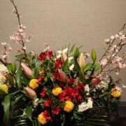 ヒメ日記 2025/03/22 01:32 投稿 ももか 熟女デリヘル倶楽部