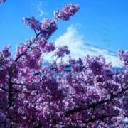 ヒメ日記 2025/03/24 23:25 投稿 ももか 熟女デリヘル倶楽部