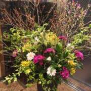 ヒメ日記 2025/04/05 00:48 投稿 ももか 熟女デリヘル倶楽部