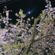 ヒメ日記 2025/04/08 01:35 投稿 ももか 熟女デリヘル倶楽部