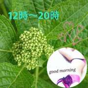 ヒメ日記 2025/05/07 07:15 投稿 ももか 熟女デリヘル倶楽部