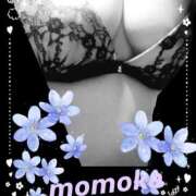 ヒメ日記 2025/05/12 22:48 投稿 ももか 熟女デリヘル倶楽部