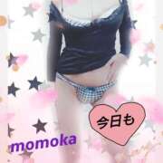 ヒメ日記 2025/05/15 21:47 投稿 ももか 熟女デリヘル倶楽部