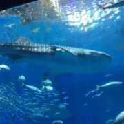 ヒメ日記 2025/05/16 01:02 投稿 ももか 熟女デリヘル倶楽部