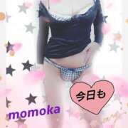 ヒメ日記 2025/05/21 22:30 投稿 ももか 熟女デリヘル倶楽部