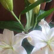 ヒメ日記 2025/05/25 20:49 投稿 ももか 熟女デリヘル倶楽部