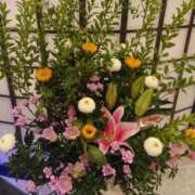 ヒメ日記 2025/05/31 00:14 投稿 ももか 熟女デリヘル倶楽部