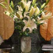 ヒメ日記 2025/05/31 22:08 投稿 ももか 熟女デリヘル倶楽部